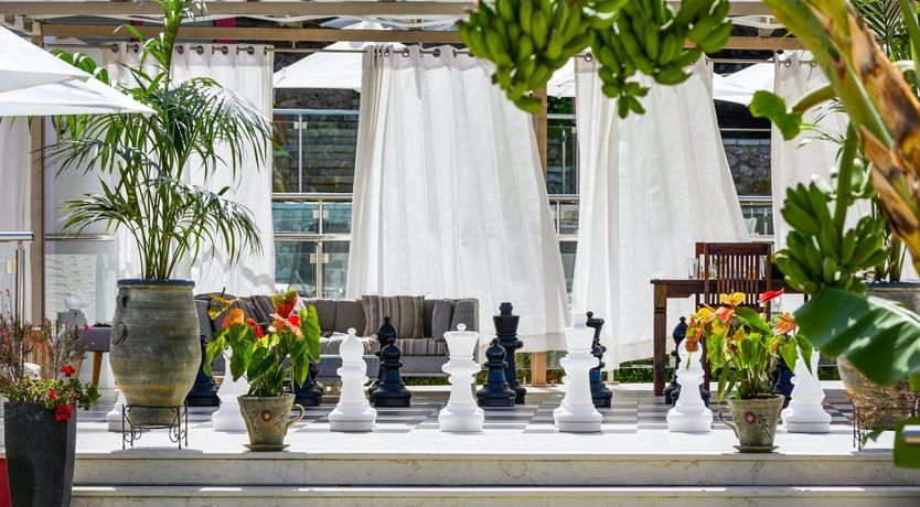 Photo of The Scent of Eucalyptus