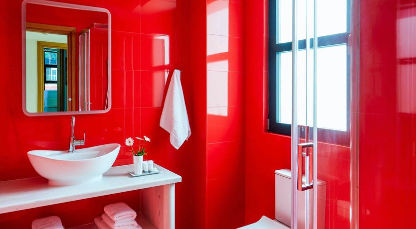 Photo of The Scent of Eucalyptus