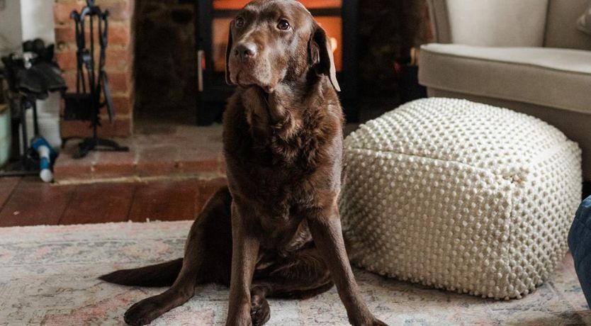 Photo of 6 Bed in Rye