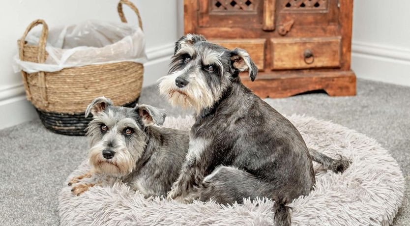 Photo of 2 Bed in Taunton