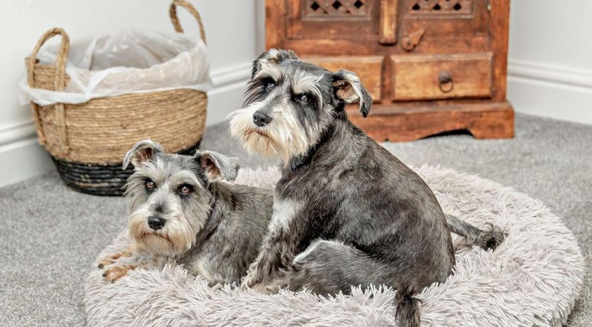 Photo of 2 Bed in Norton Fitzwarren