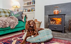 Photo of Cottage in Moray