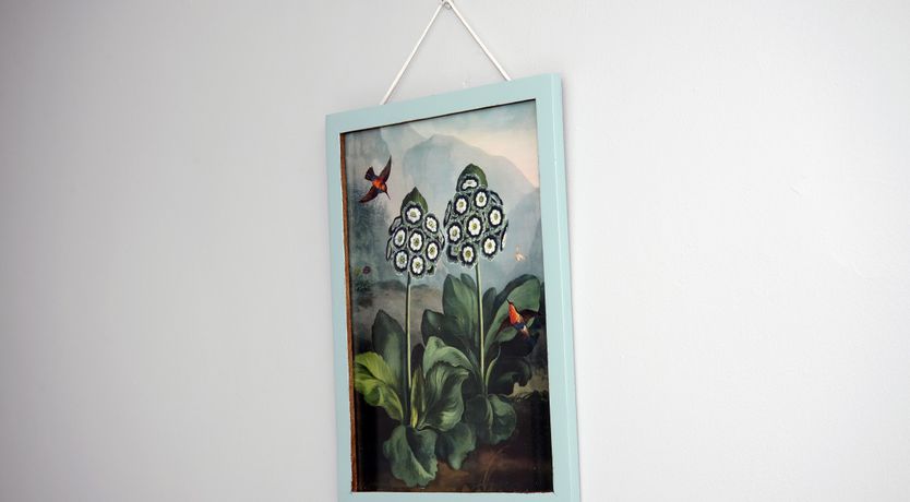 Photo of Cavan Country Cottage