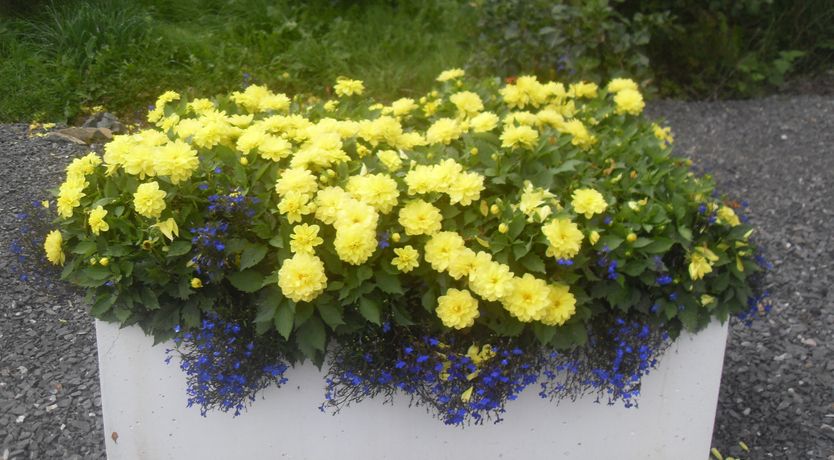 Photo of Cavan Country Cottage