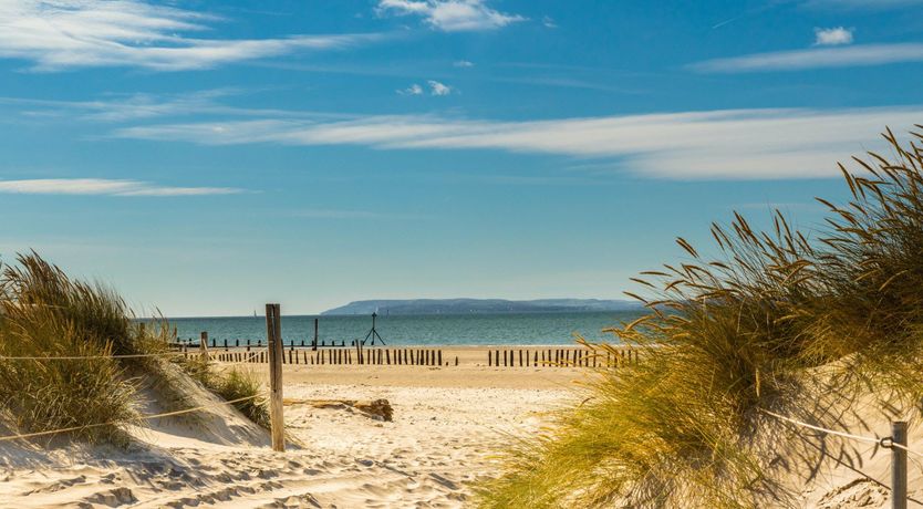 Photo of The Sussex Peach