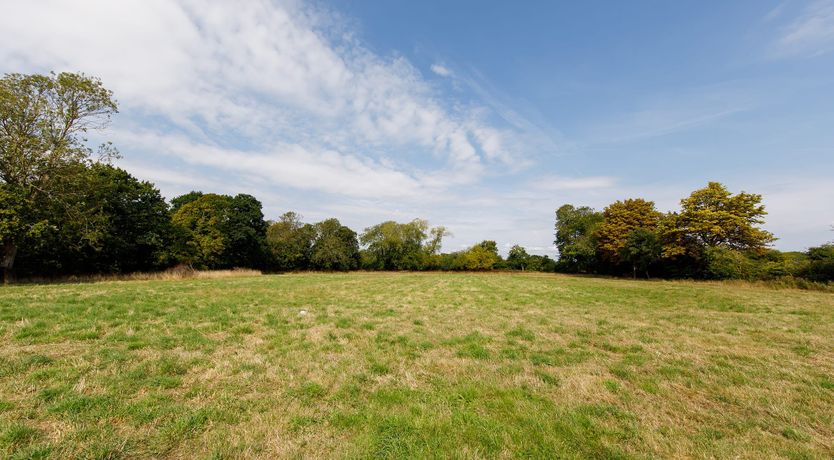 Photo of The Sussex Peach