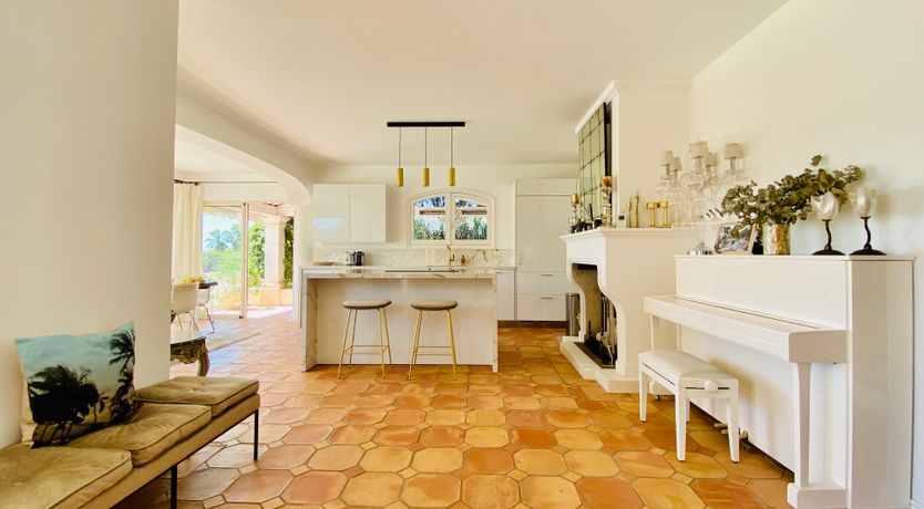 Photo of Orange & Cream