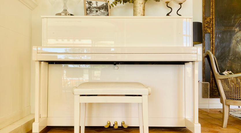 Photo of Orange & Cream