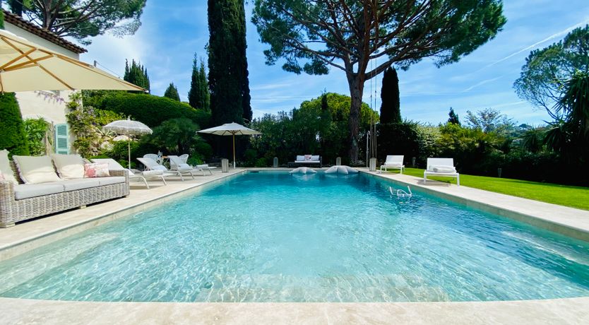 Photo of Orange & Cream