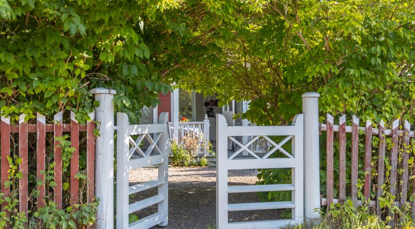 Photo of The Cuckoo's Nest