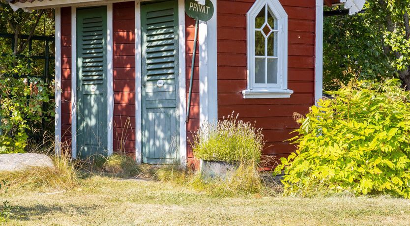 Photo of The Cuckoo's Nest