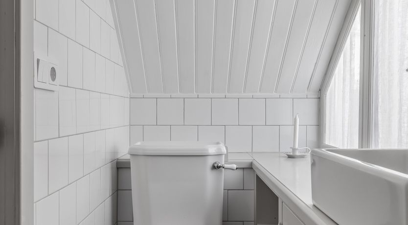 Photo of The Cuckoo's Nest