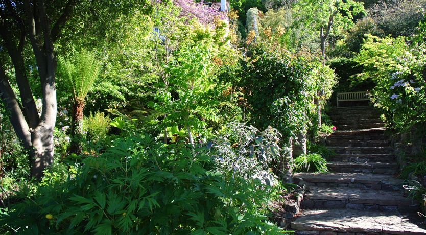 Photo of Owlscombe, Porlock Weir