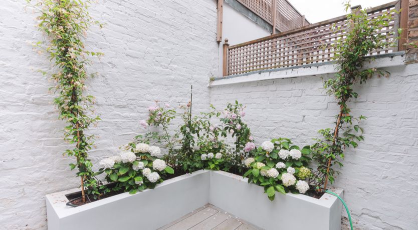 Photo of Sunny in Chelsea