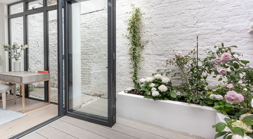 Photo of Sunny in Chelsea