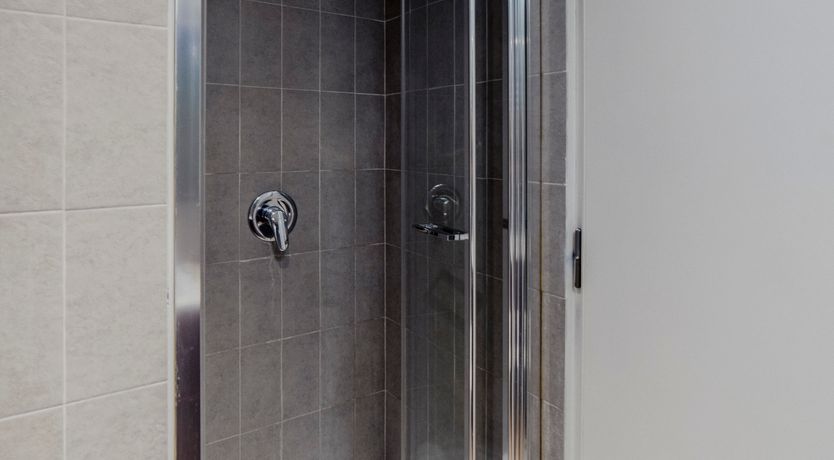 Photo of Italian Roses