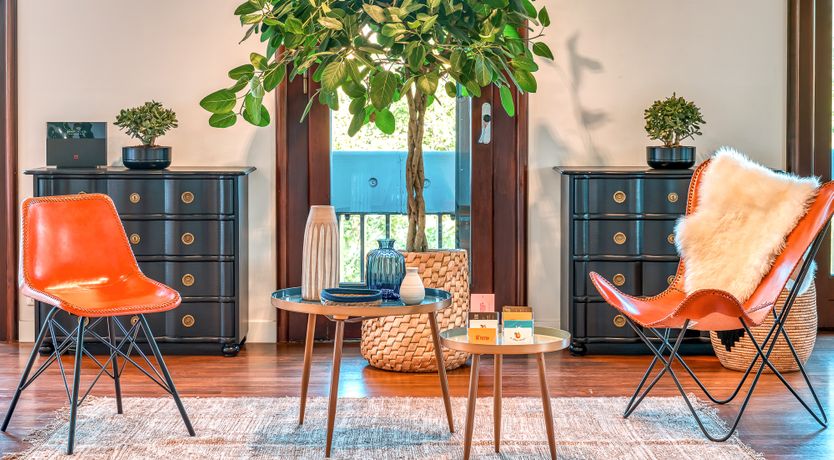 Photo of Italian Roses