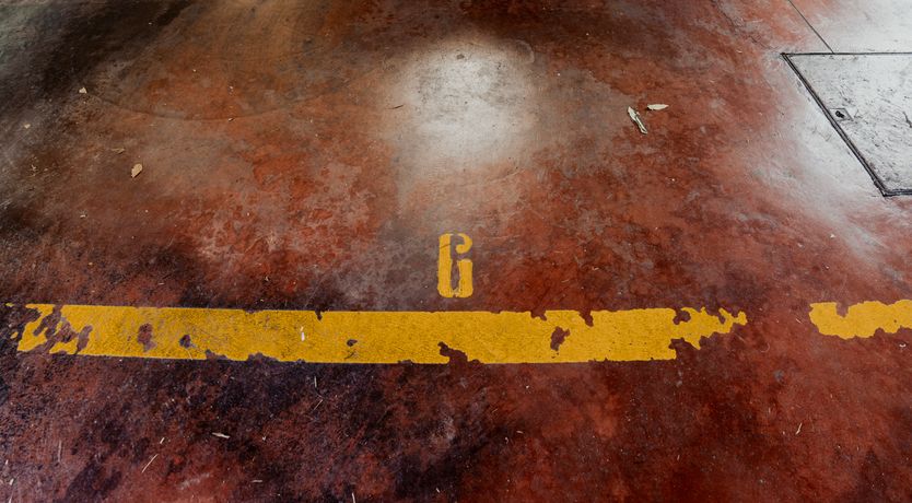 Photo of Italian Roses