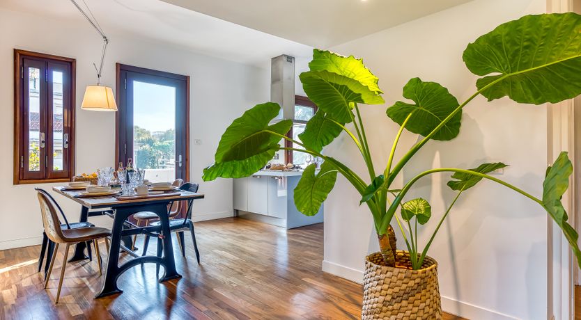 Photo of Italian Roses