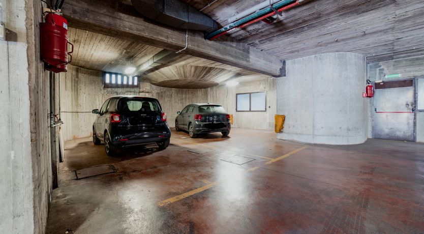 Photo of Italian Roses