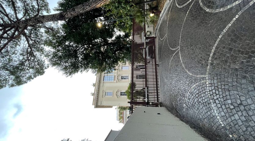 Photo of Italian Roses