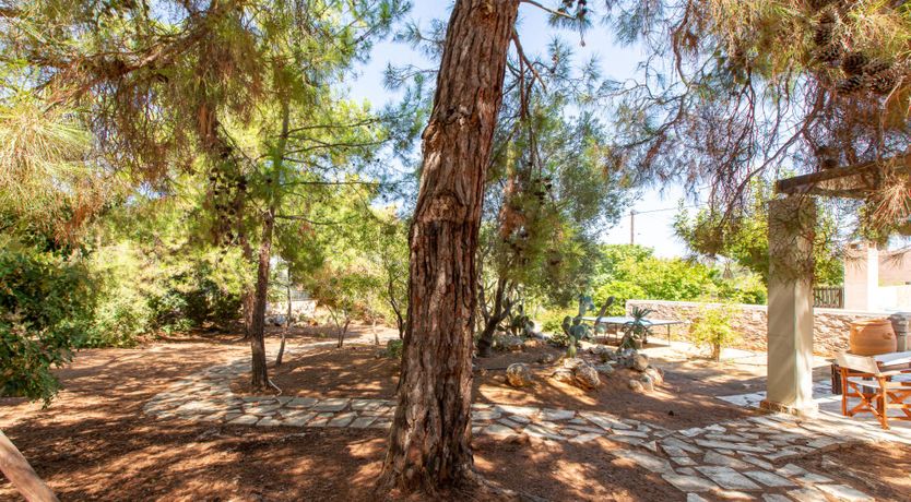 Photo of A Taste of Greek Life