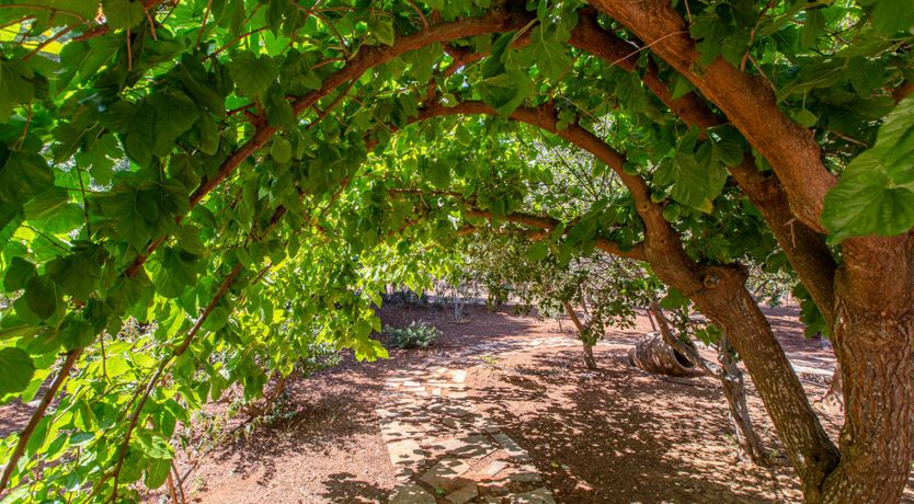 Photo of A Taste of Greek Life