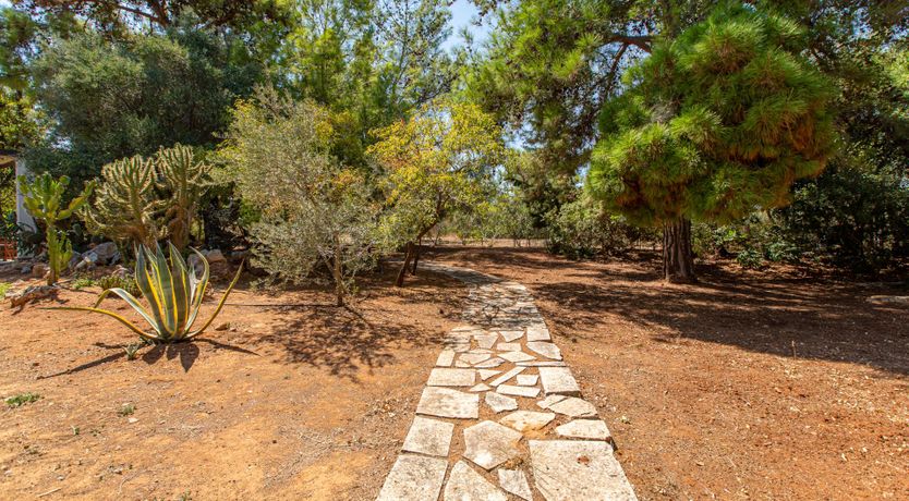 Photo of A Taste of Greek Life