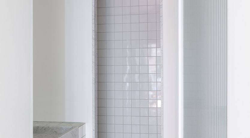 Photo of Pale Pink Blossoms