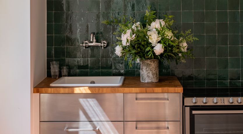 Photo of Pale Pink Blossoms