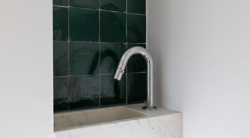 Photo of Pale Pink Blossoms