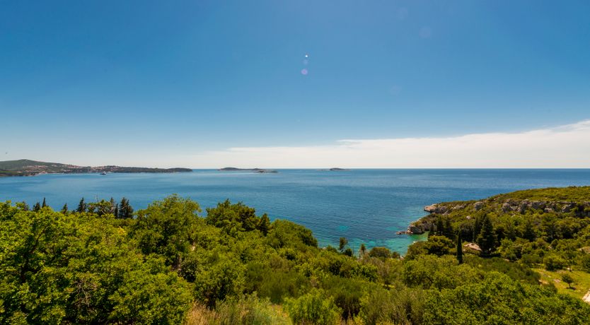 Photo of The Oyster Pearl