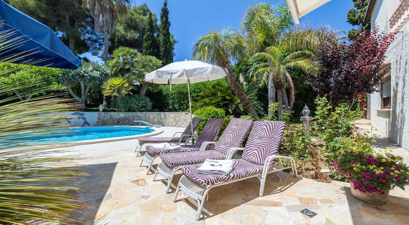 Photo of The Aquamarine Dolphin