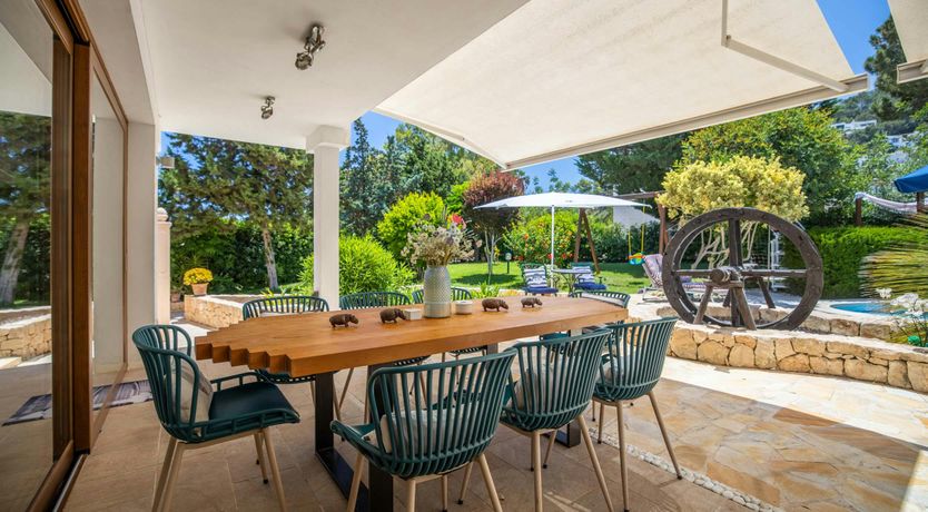 Photo of The Aquamarine Dolphin