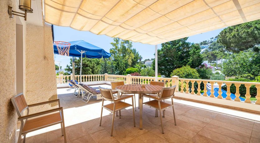 Photo of The Aquamarine Dolphin