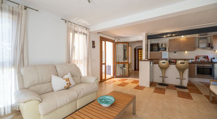 Photo of The Aquamarine Dolphin