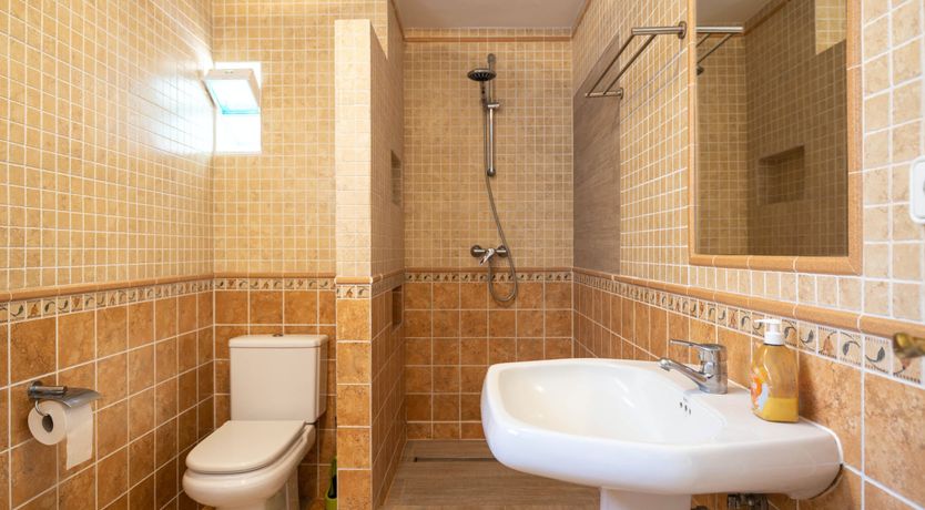 Photo of The Aquamarine Dolphin