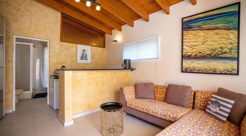 Photo of The Aquamarine Dolphin