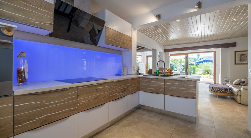 Photo of The Aquamarine Dolphin