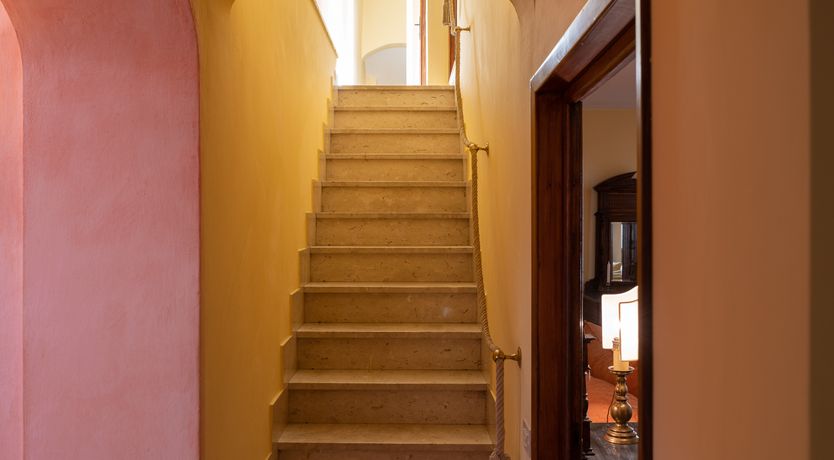 Photo of The Rose of Florence