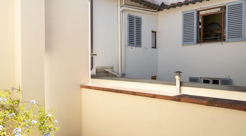 Photo of The Rose of Florence