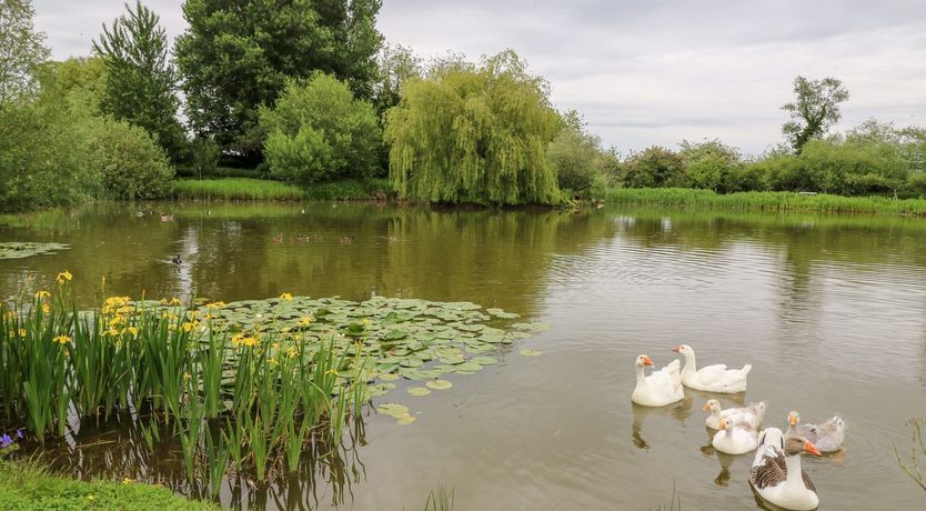 Photo of Horseshoe Cottage