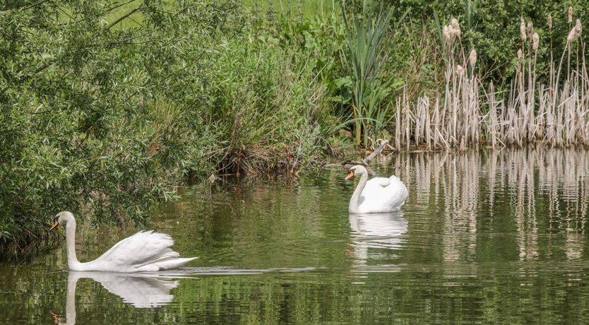 Photo of Horseshoe Cottage
