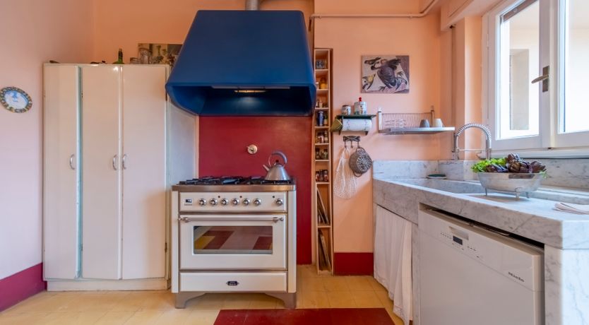 Photo of Renaissance Dream