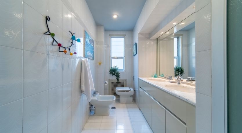 Photo of Renaissance Dream