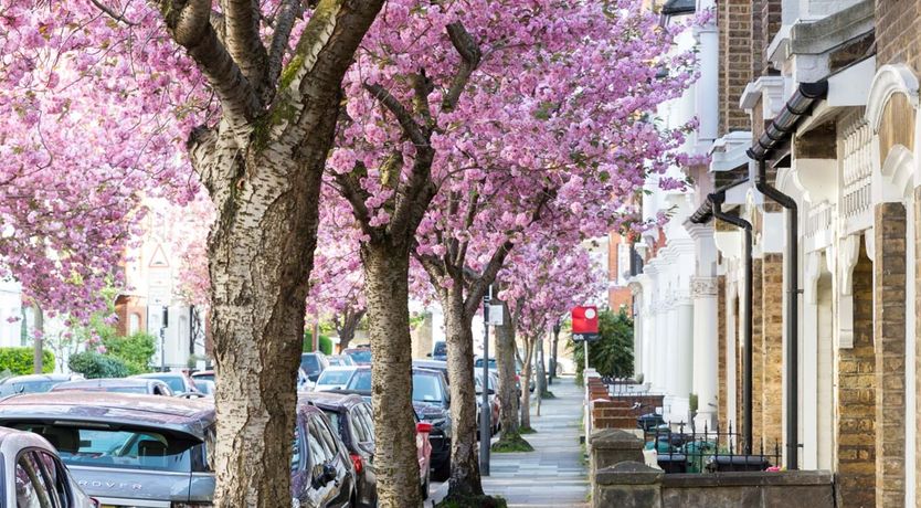 Photo of Get in the Grove