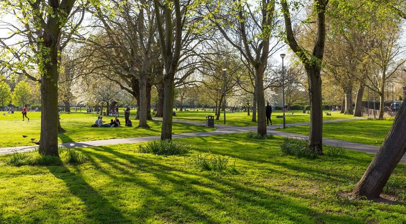 Photo of Get in the Grove