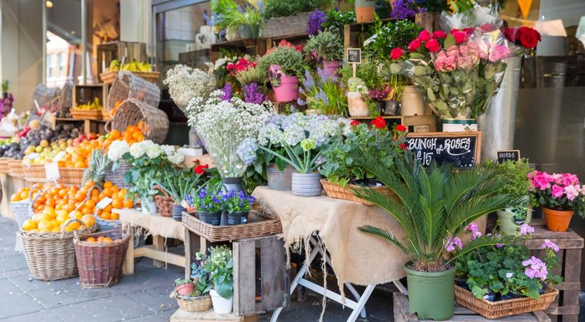 Photo of Get in the Grove