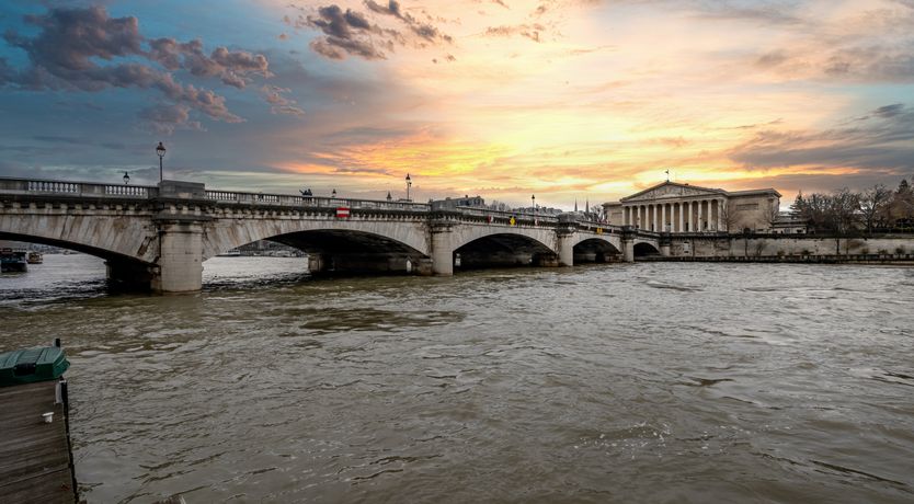 Photo of The French Twist