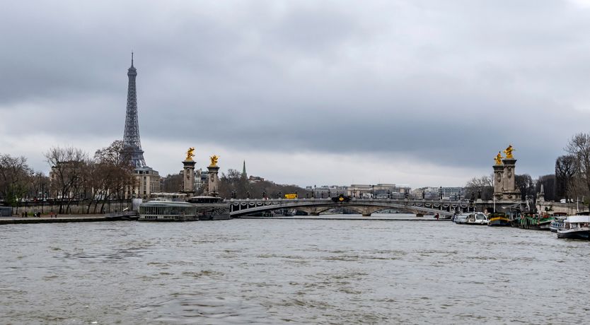 Photo of The French Twist